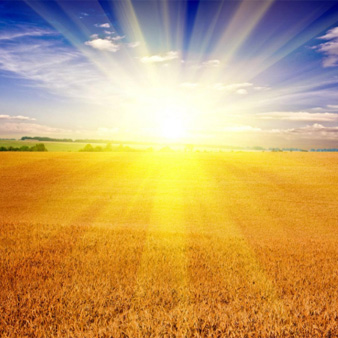 Sunshine