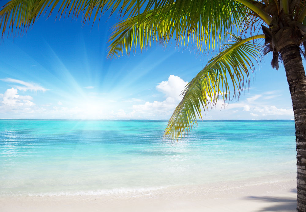 Sea Breeze