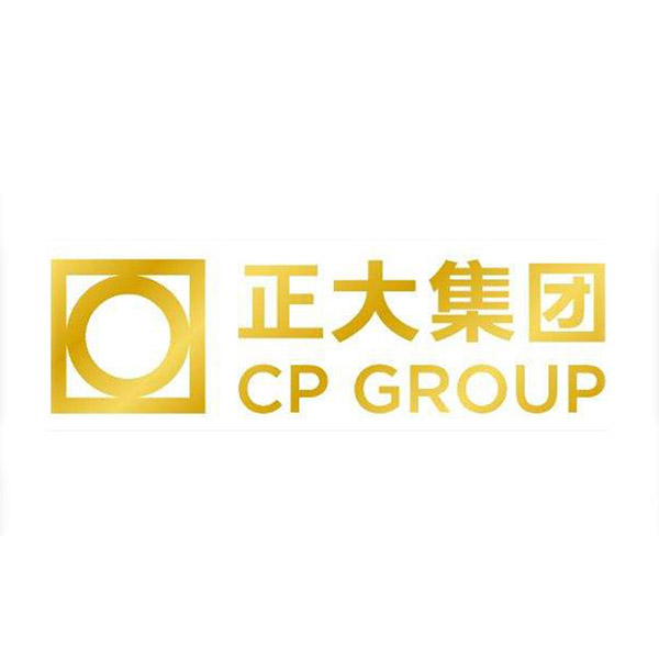 正大集团
